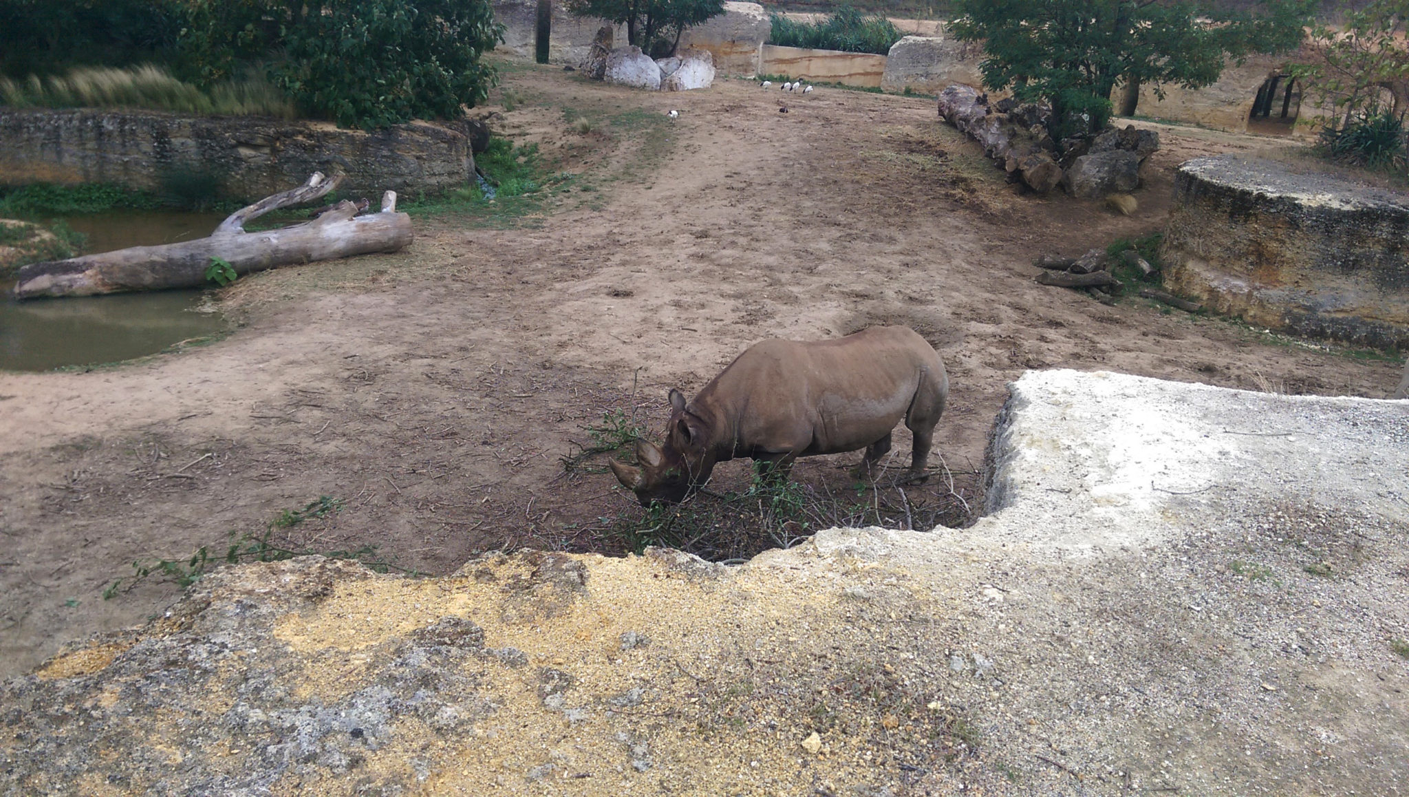 BioParc