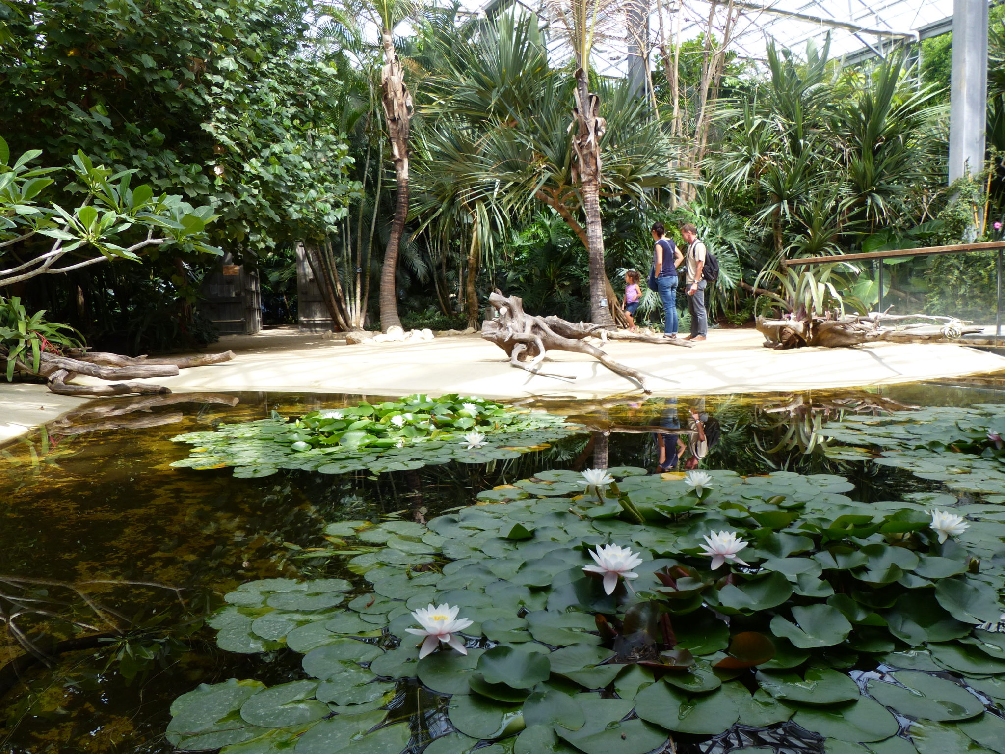 Terra Botanica