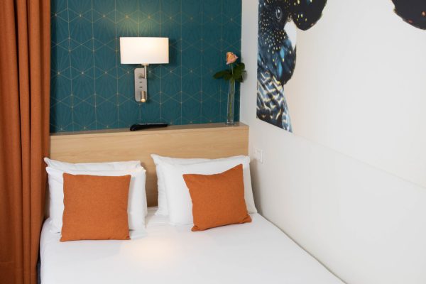chambre eco solo perroquet