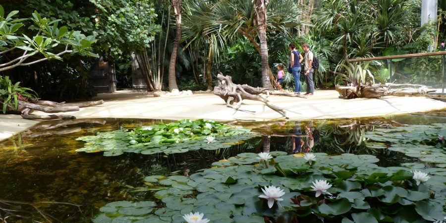 Terra Botanica